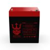 Neptune NT-1250 12V 5Ah Battery SLA Sealed Lead Acid