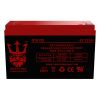 Neptune NT-6120 6V 12Ah Battery SLA Sealed Lead Acid